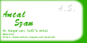 antal szam business card